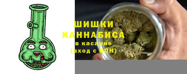 PSILOCYBIN Струнино