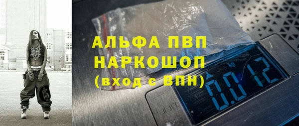 PSILOCYBIN Струнино