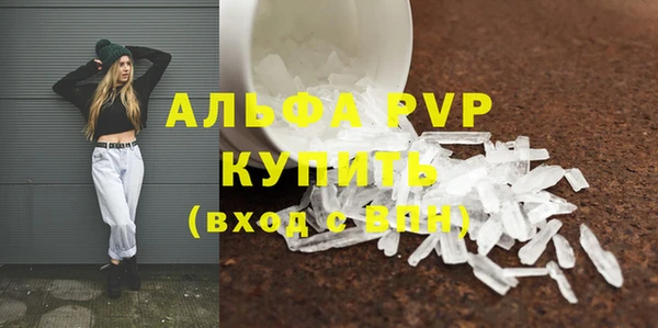сатива Заполярный