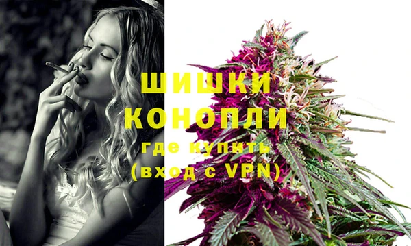 PSILOCYBIN Струнино